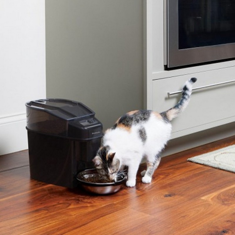 Distributeur Automatique De Croquettes Programmable A 12 Repas Par Jour Ezoo Shop