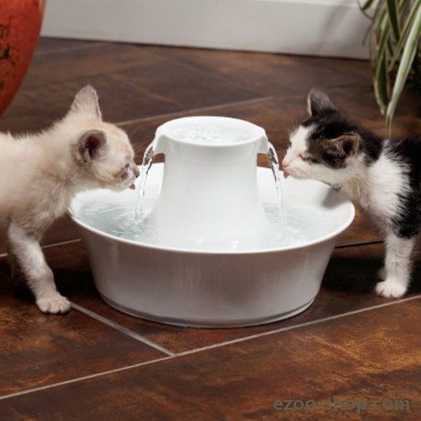 Fontaine En Céramique Pour Chien Chat Avalon Drinkwell Petsafe