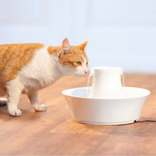 Fontaine En Céramique Pour Chien Chat Avalon Drinkwell