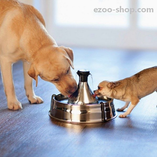 Fontaine Inox Inoxydable 360 Pour Chat Et Chien Drinkwell