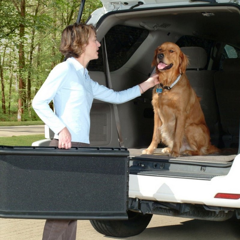 Rampe pliable en plastique - Transport du chien