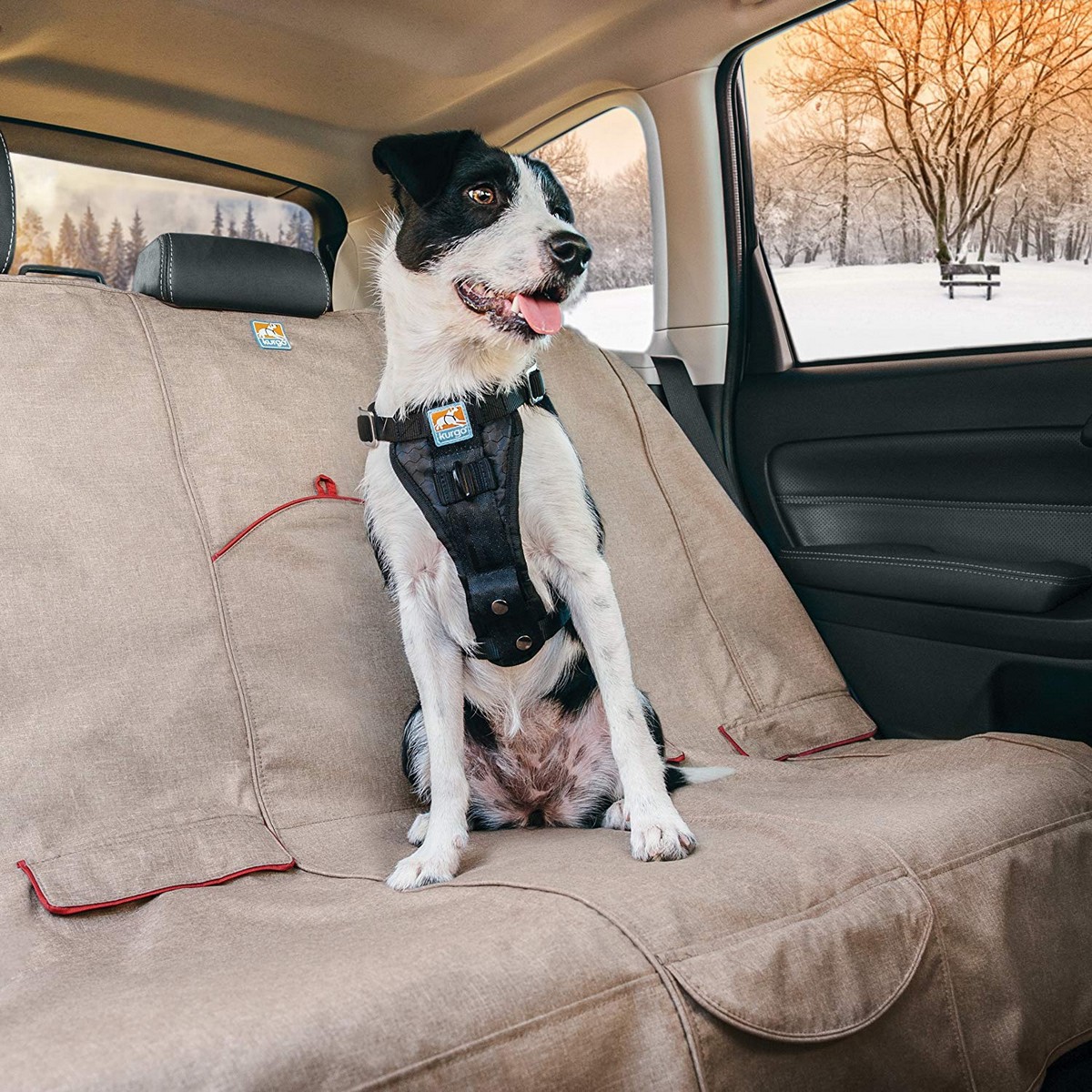 Housse auto protection banquette arrière - Spécial chien