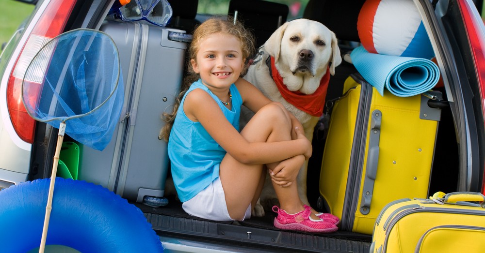 conseils pour voyager en voiture en toute sécurité avec votre chien 2