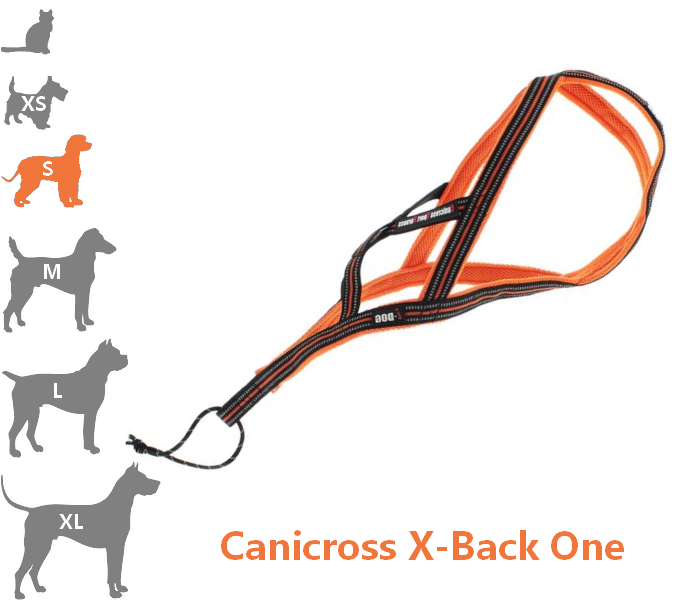 ONE - Harnais Canicross pour petit chien X-Back idog