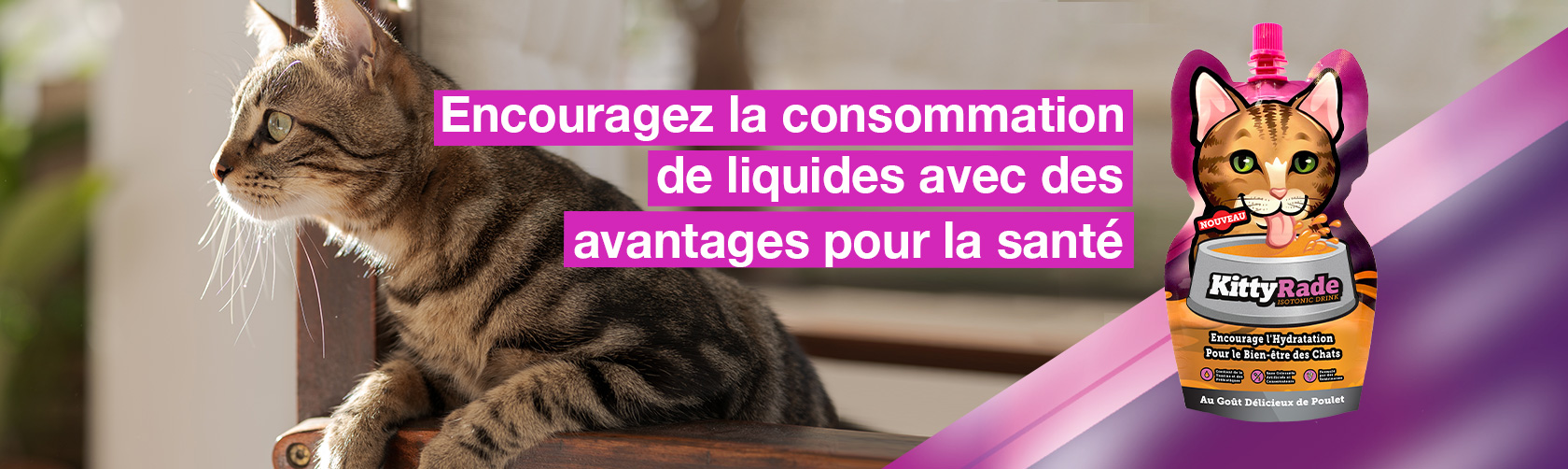 Kittyrade Boisson Isotonique Energisante Pour Hydrater Le Chat