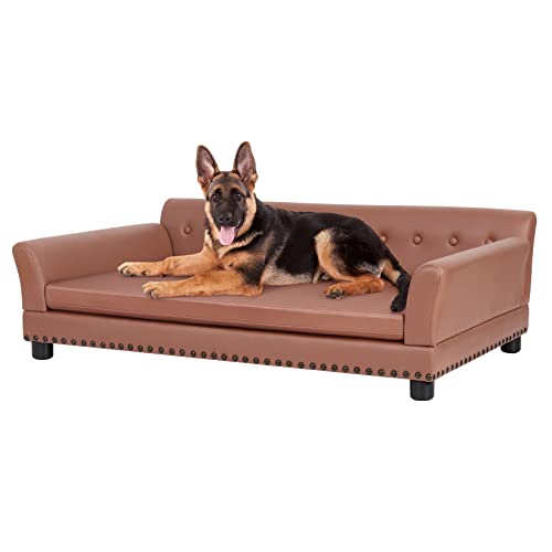 Canapé pour chien : prix et modèles - PagesJaunes