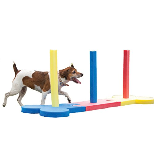 PawHut Agility sport pour chiens kit d'équipement d'agilité pour chiens  avec obstacle, tunnels, saut, slalom rouge