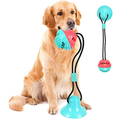 Jouets à Mâcher de Balle de Jouet de Chien avec Ventouse, Jeu de Chien Multifonctionnel avec Corde Elastique, Balles à Mâcher de Dents de Boule à Mâcher pour Chien pour Murs de Carreaux de Sol en Bois
