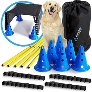 GeerDuo Équipement de dressage d'agilité pour chien, kit de démarrage pour  dressage d'agilité d'obstacles, avec tunnel, 27 poteaux tissés, haie