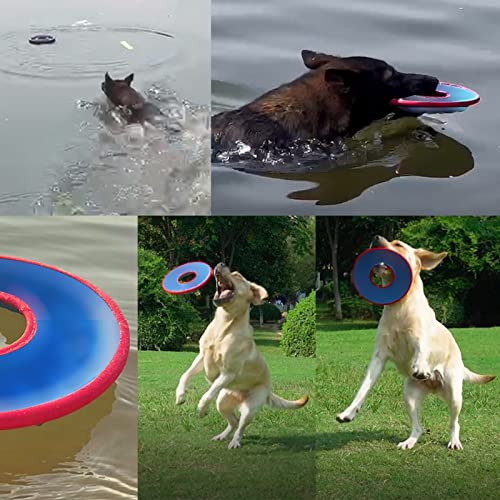 XUBX 7 Pièces Frisbees pour Chien, Jouet disque volant pour chien, Disque  Chien, Frisbee pour Chien, Frisbee pour Animaux pour Jeux Sport Exercice  Activité et Jeu en Plein,pour Petits et Moyens Chiens 