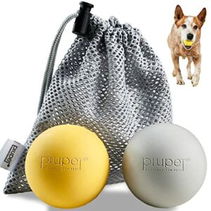 PetSafe Jouet automatique pour chien, lanceur de balle de tennis interactif  pour chiens, résistant à l'eau, lot de 1