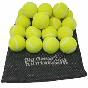 bangminda Big Balle de Tennis pour Chien 9.5 Pouces, 24cm Balle de Tennis  Géante pour Animal Domestique, Grand Ballon de Tennis Gonflable Jouet pour