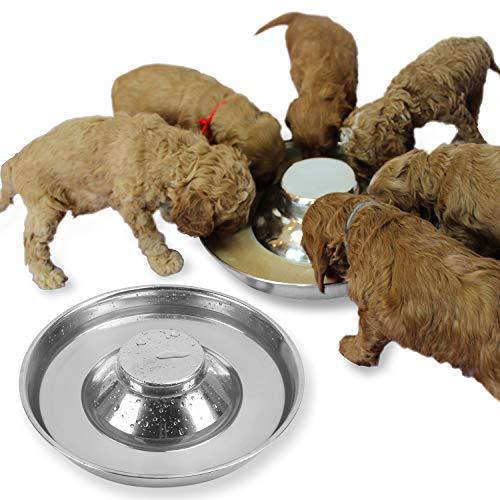 Podinor Gamelles en acier inoxydable pour chiots et chiots