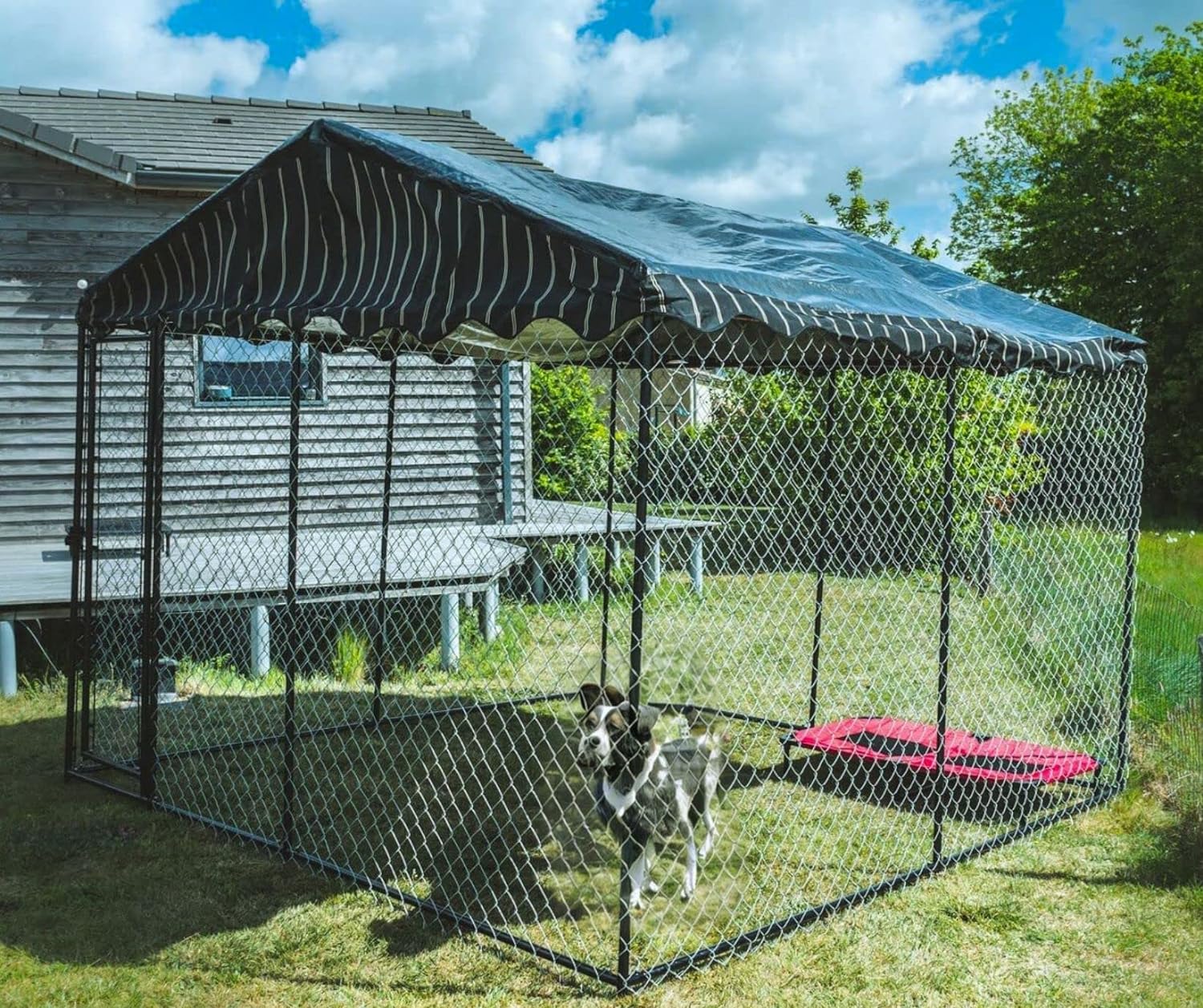 Yaheetech Parc pour Chien 16 Panneaux Cage pour Chien Interieur Enclos  Chiens Chiots Lapins Exterieur avec Porte Métal 80 x 80 cm Noir :  : Animalerie