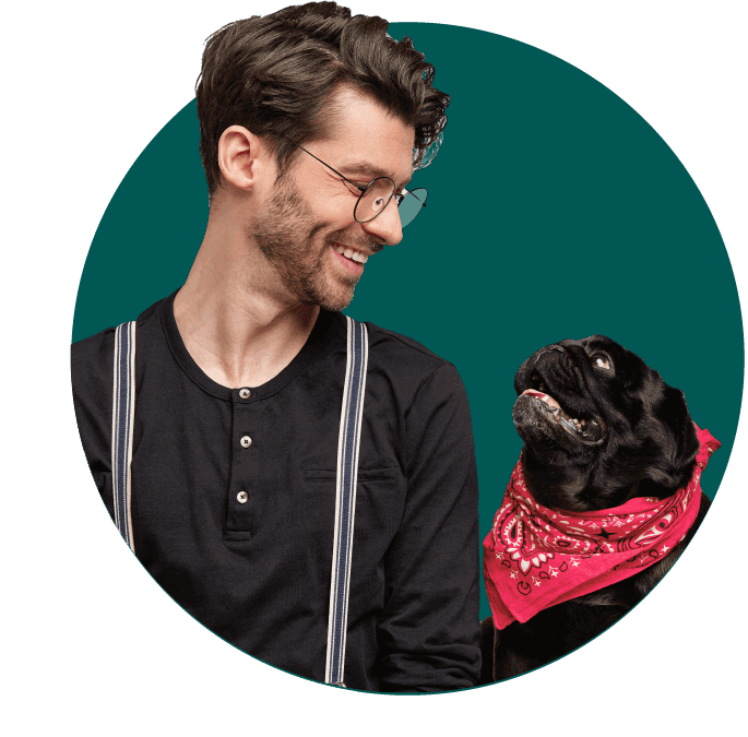 Les questions les plus courantes posées par les propriétaires de chiens