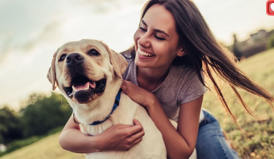 Les Races de Chiens les Plus Populaires en France