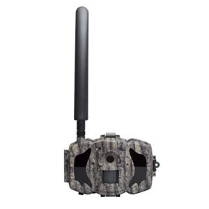 Caméra de Chasse la Faune BolyGuard