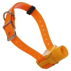 Collier pour chien éducation dressage NUM'AXES CANIBEEP