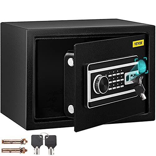 Coffre-Fort Biométrique à Empreintes Digitales VEVOR