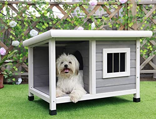 Niche en Bois pour Chien avec Fenêtre en Acier
