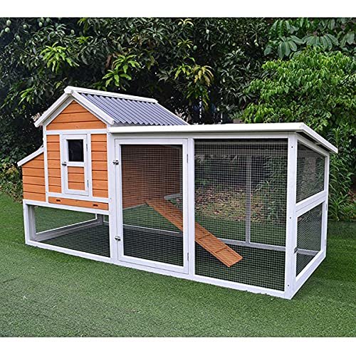 Poulailler avec Toit Renforcé en Plastique