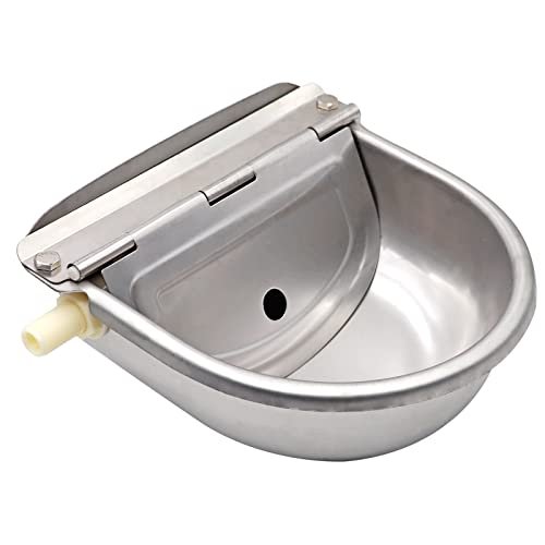 Abreuvoir Automatique en Acier Inoxydable Avec Robinet à Flotteur