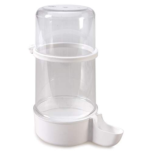 Abreuvoir Oiseaux 4 Anneaux