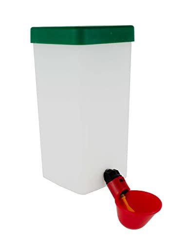 Abreuvoir pour poule pondeuse