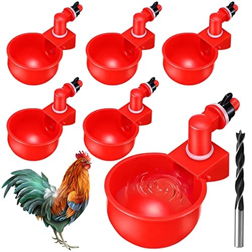 Abreuvoir pour poule pondeuse 6 Pièce DIY Automatique