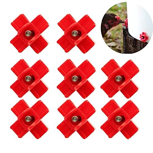 Abreuvoir pour poule pondeuse Volailles