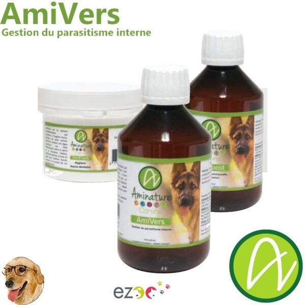 AmiVers traitement Vers Intestinaux Chien