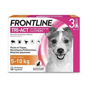Anti Puces, Tiques Pour Petit Chien De 5 à 10 kg FRONTLINE