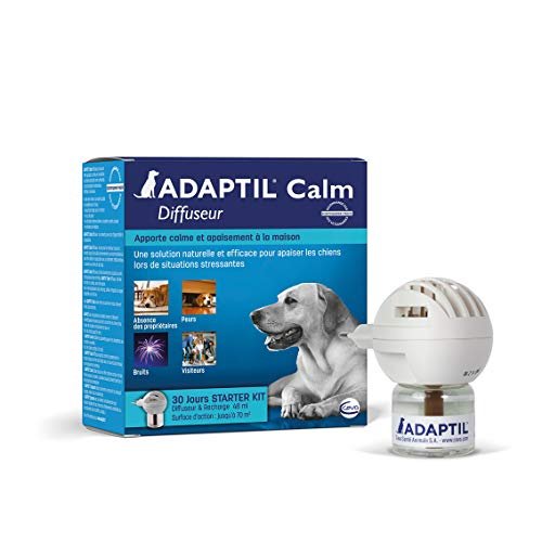 Anti-Stress pour Chien
