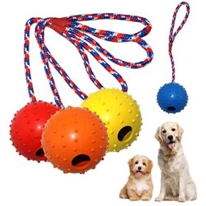 Balle avec Corde pour Chien Nizirioo