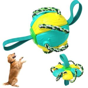 Balle pour Chien
