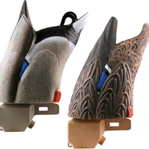 Boîtes de Rangement GreenHead