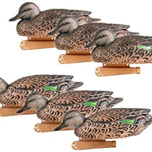 Bouclettes GreenHead