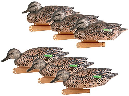 Bouclettes GreenHead