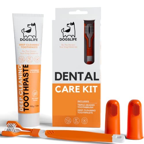 Brosse à Dents Pour Chiens Avec Dentifrice
