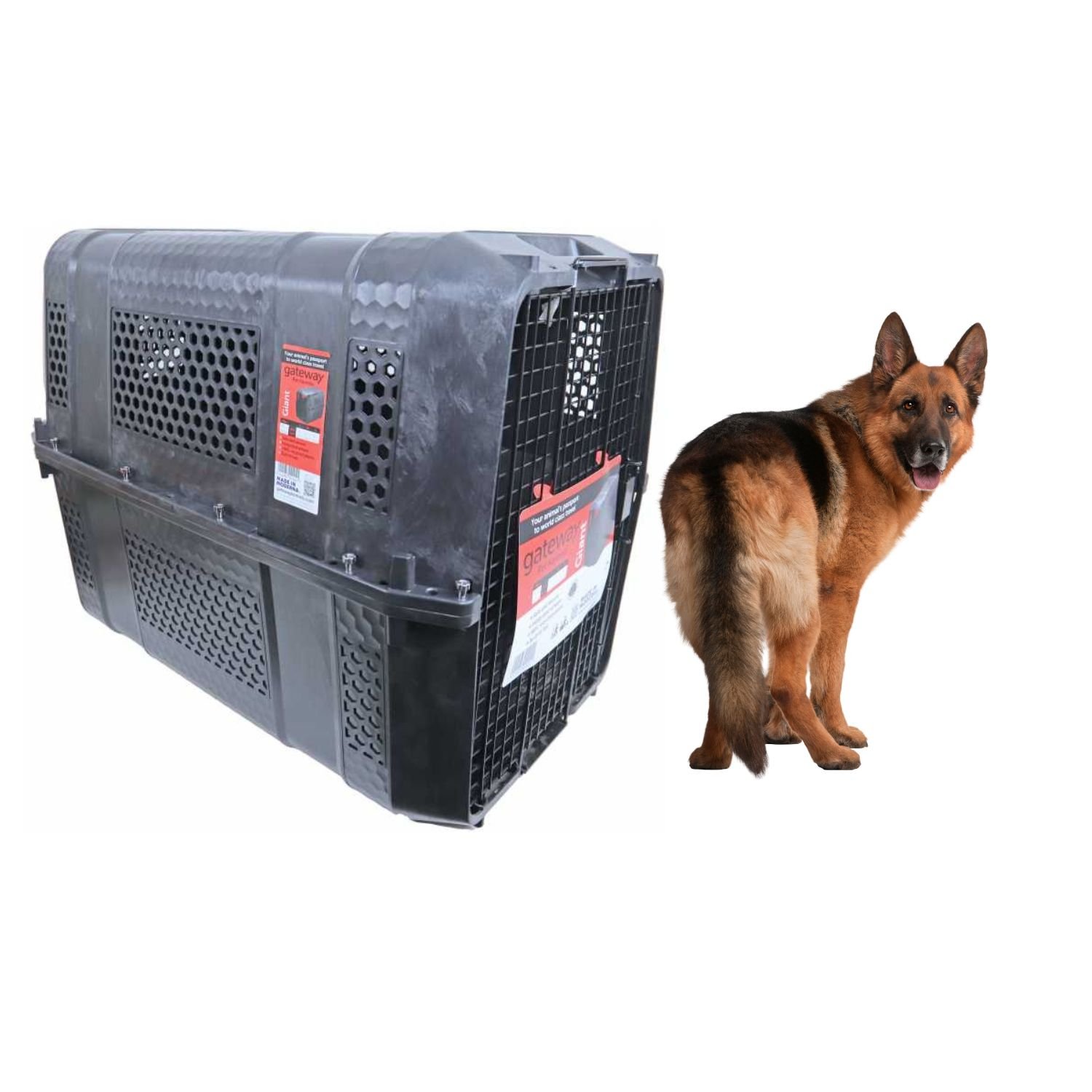 Cage de Transport pour Chien - Voiture Camping-car Avion Norme IATA - Gateway Giant