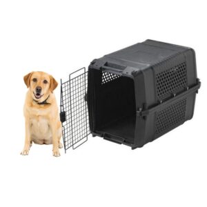 Cage de Transport pour Chien - Voiture Camping-car Avion Norme IATA - Gateway Jumbo