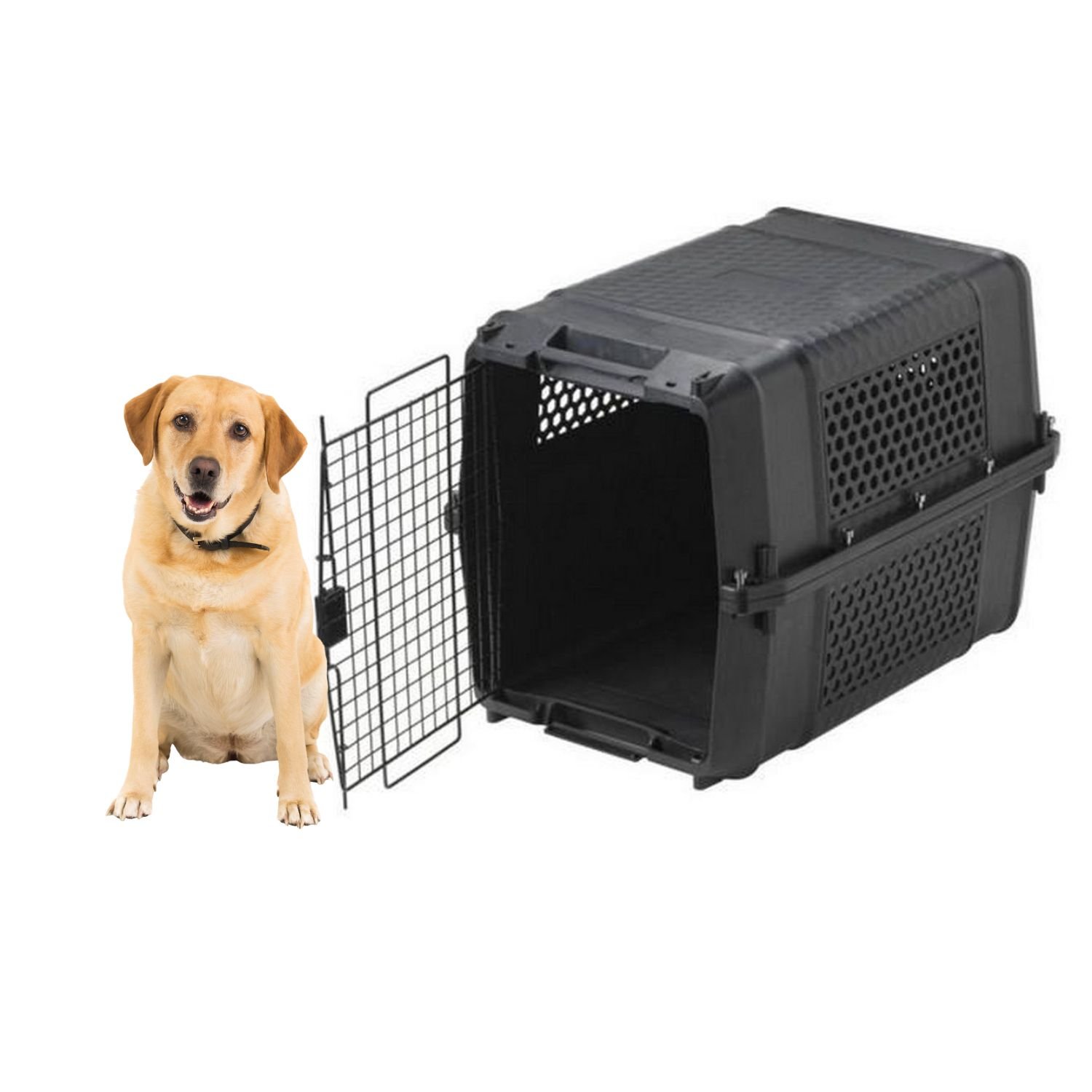 Cage de Transport pour Chien - Voiture Camping-car Avion Norme IATA - Gateway Jumbo