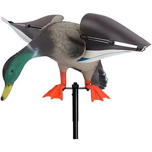 Canard Canetons Leurres De Colvert VARADOMO