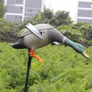 Canard d'appât de Chasse VARADOMO