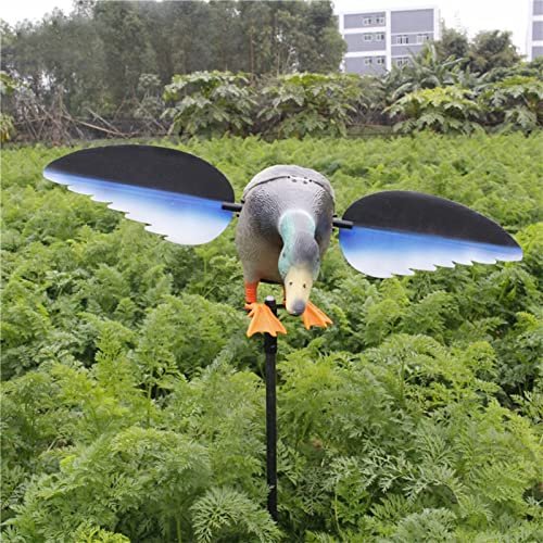 Canard Volant VARADOMO