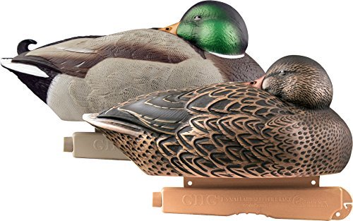 Canards GreenHead