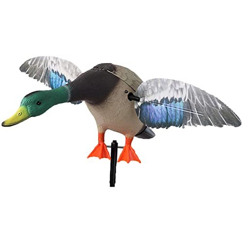 Canetons Canard en Mouvement VARADOMO