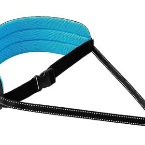 Ceinture ventrale pour canicross Dogtrekking LASALINE