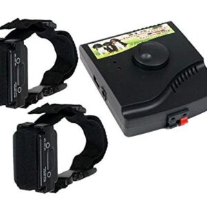 Clôture Electrique pour Chien avec 2 Colliers