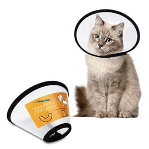 Collerette  pour Chien Chat Chiot